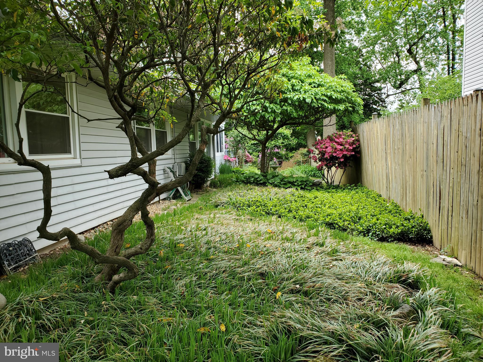 7129 Alger Road Falls Church, VA 22042 - Photo 21 of 22 Right Side Yard