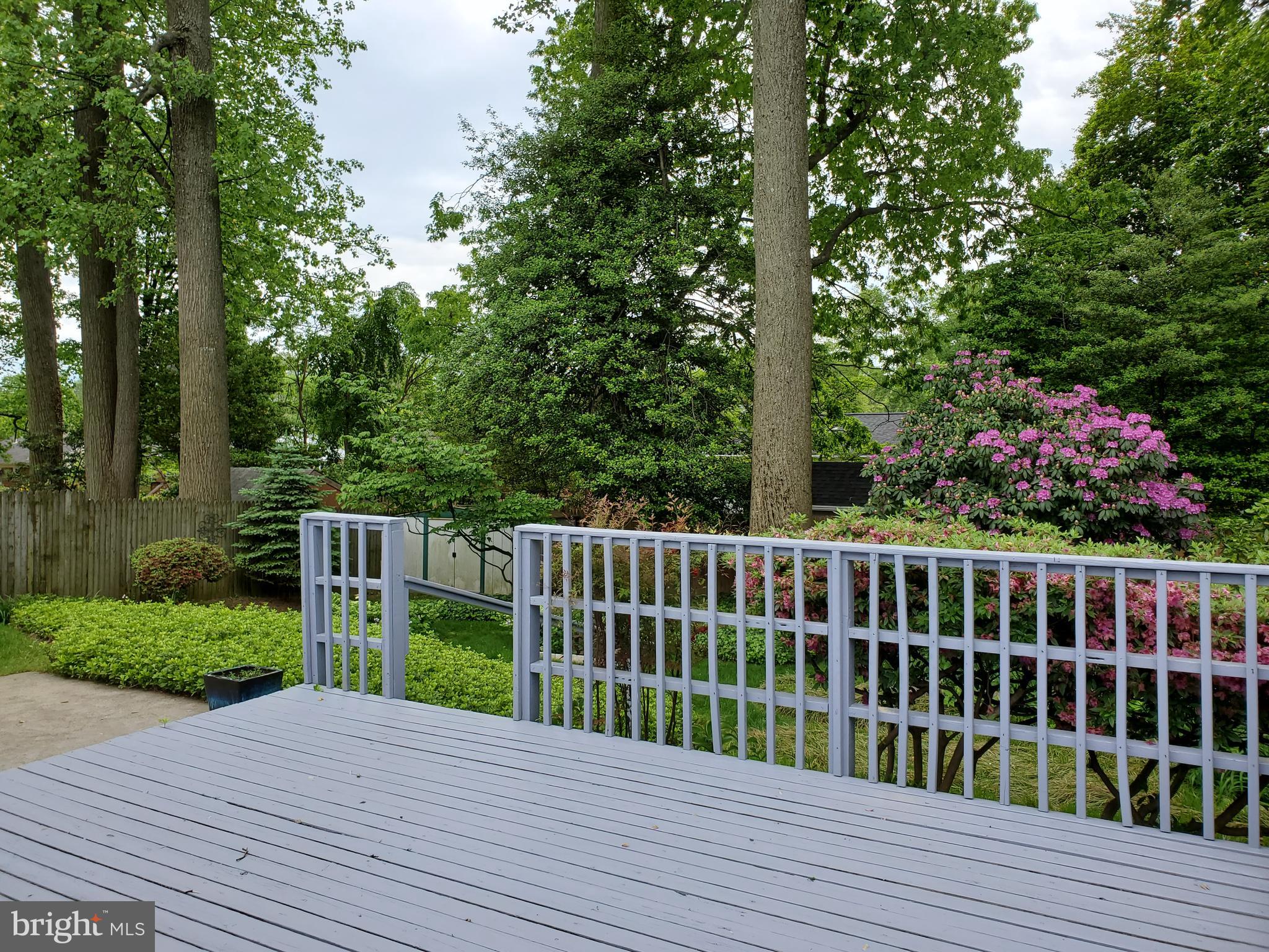 7129 Alger Road Falls Church, VA 22042 - Photo 9 of 22 View of Backyard off Deck