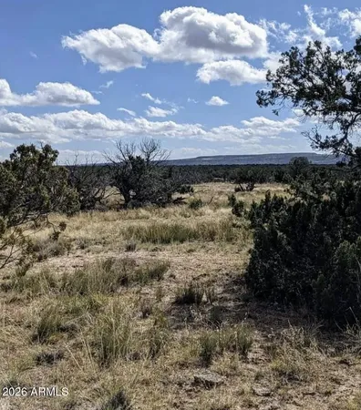 $17,947 | 72 County Road, St. Johns, AZ 85936
