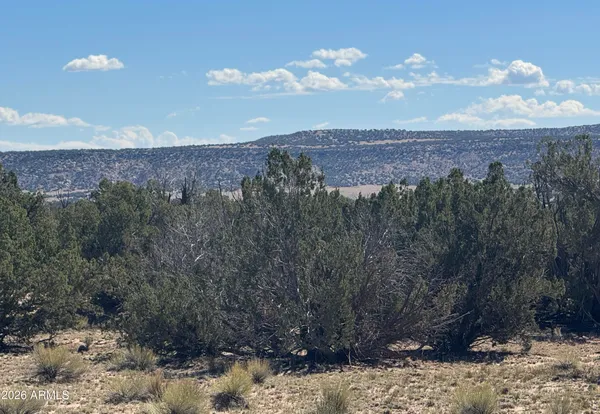 $17,947 | 72 County Road, St. Johns, AZ 85936