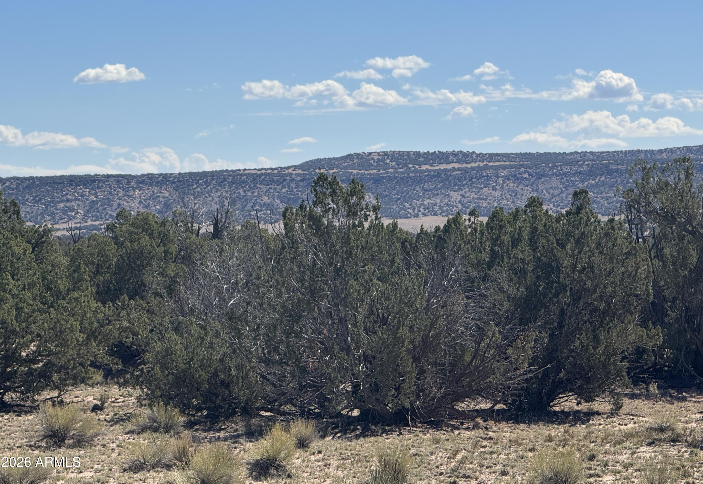 72 County Road St. Johns, AZ 85936 - Photo 12 of 12 72 County Rd N6596
