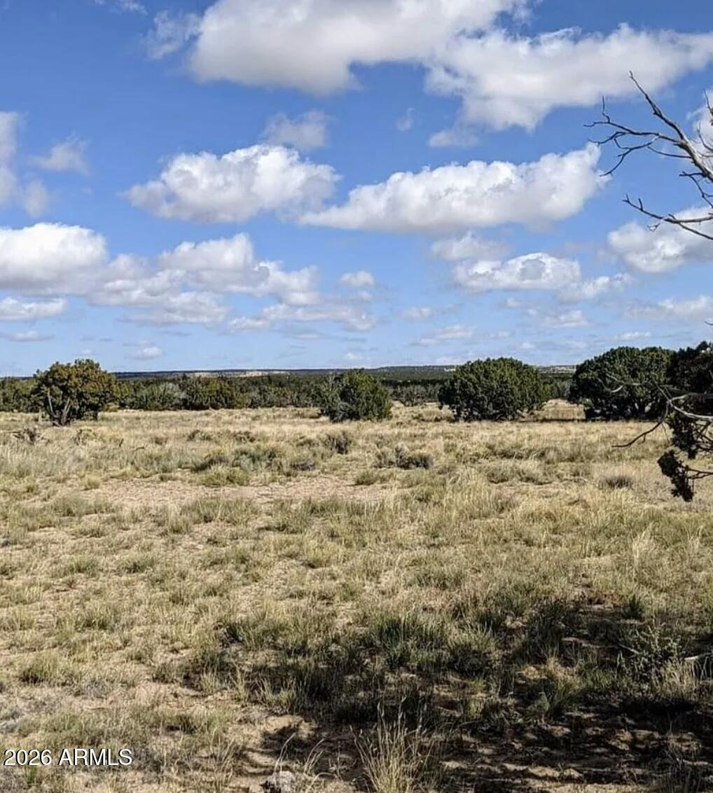 72 County Road St. Johns, AZ 85936 - Photo 6 of 12 72 County Rd N6596