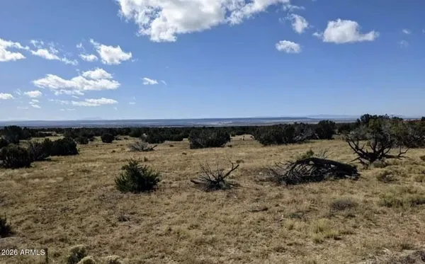 $17,947 | 72 County Road, St. Johns, AZ 85936