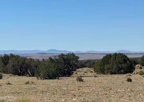 $17,947 | 72 County Road, St. Johns, AZ 85936