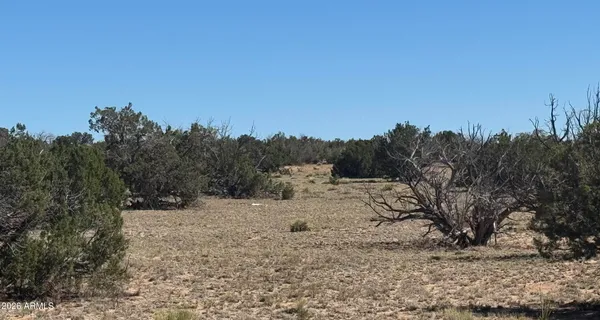 $17,947 | 72 County Road, St. Johns, AZ 85936