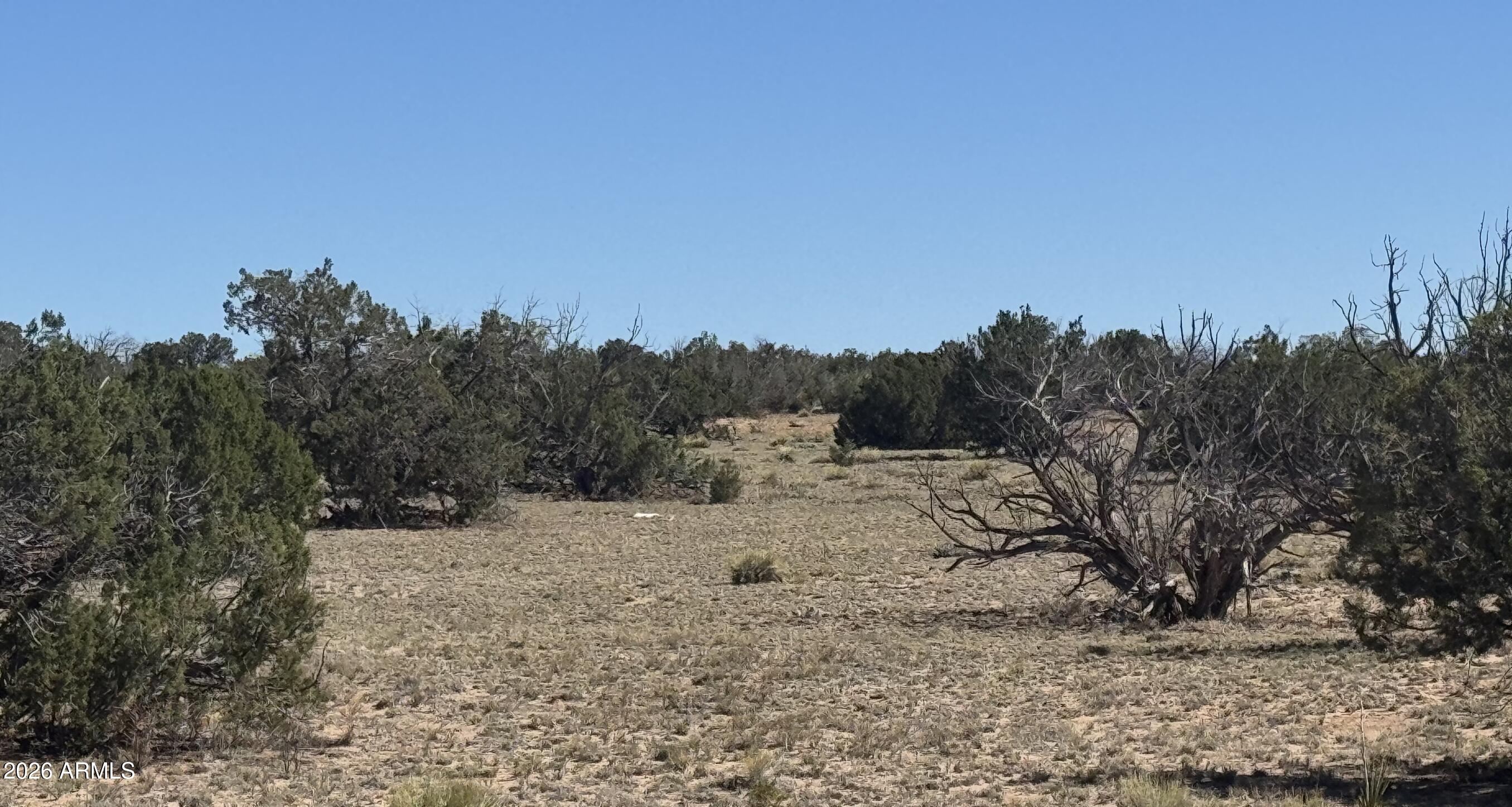 72 County Road St. Johns, AZ 85936 - Photo 9 of 12 72 County Rd N6596