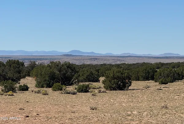 $17,947 | 72 County Road, St. Johns, AZ 85936