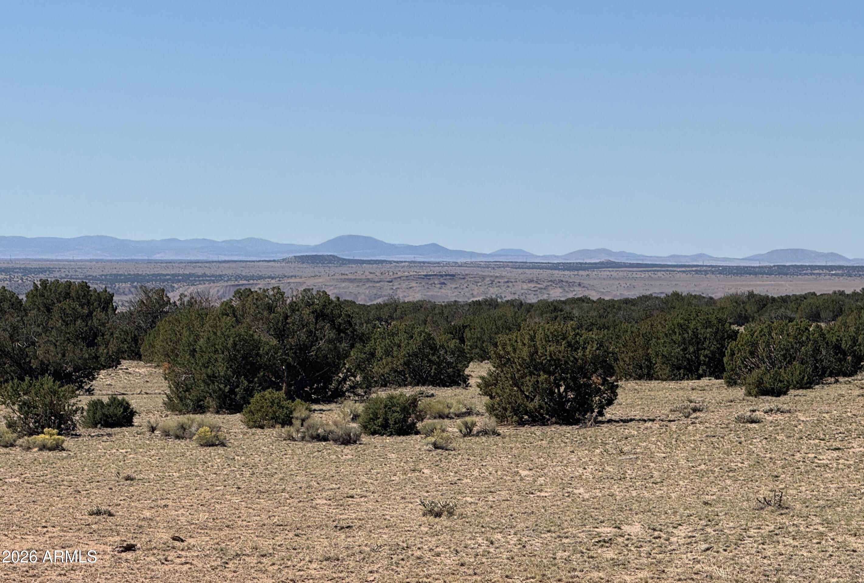 72 County Road St. Johns, AZ 85936 - Photo 10 of 12 72 County Rd N6596