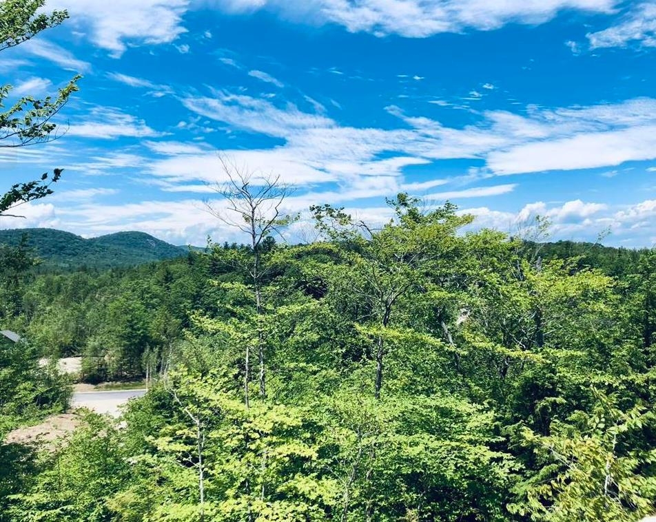 Village Corner Road Ossipee, NH 03864 - Photo 12 of 13