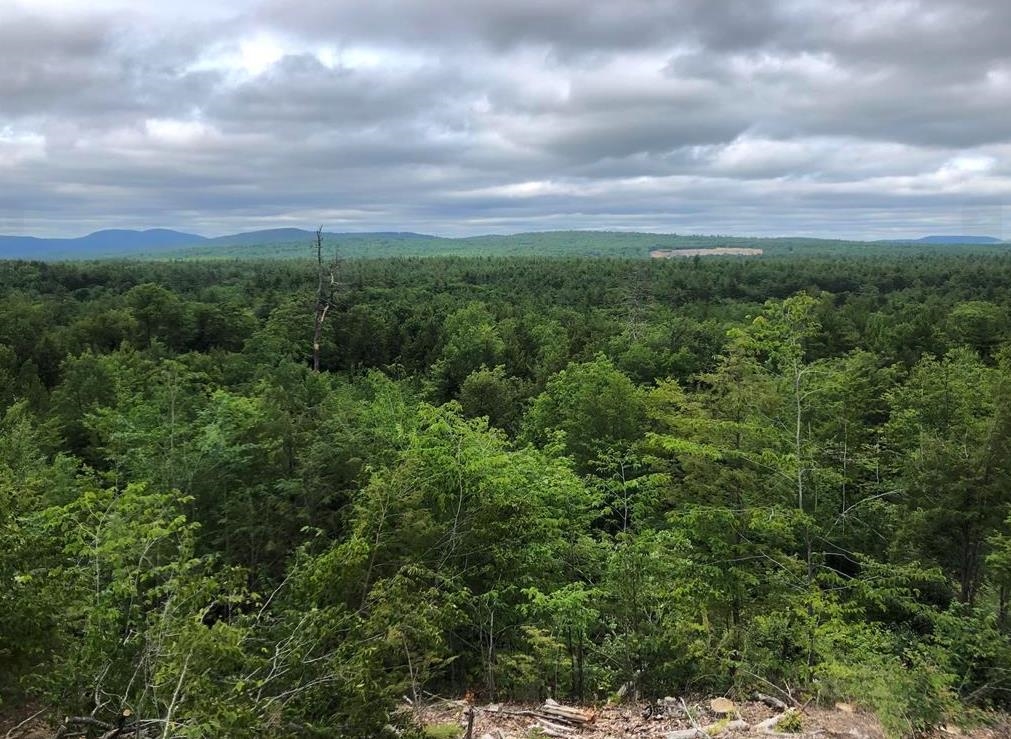 Village Corner Road Ossipee, NH 03864 - Photo 4 of 13