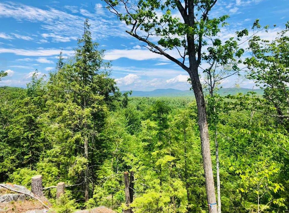 Village Corner Road Ossipee, NH 03864 - Photo 7 of 13