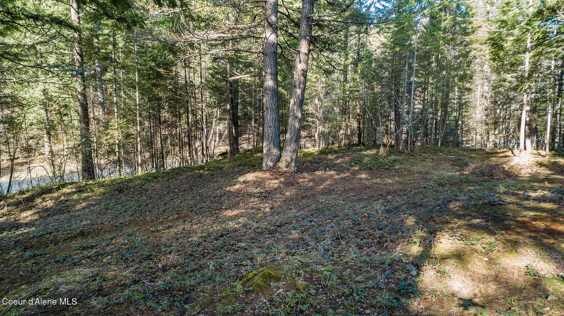 Nka Blue Grouse Road Sagle, ID 83860 - Photo 26 of 41 .