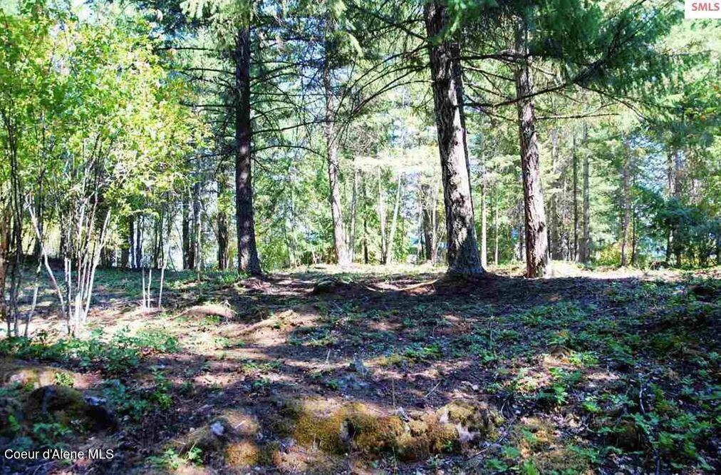 Nka Blue Grouse Road Sagle, ID 83860 - Photo 27 of 41 .