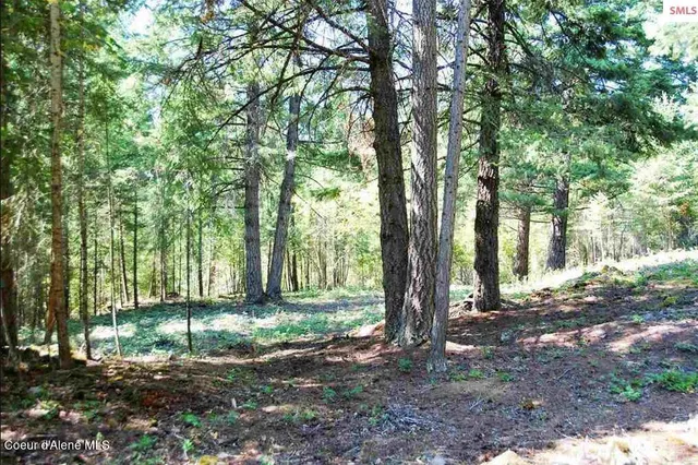 $199,000 | Nka Blue Grouse Road, Sagle, ID 83860