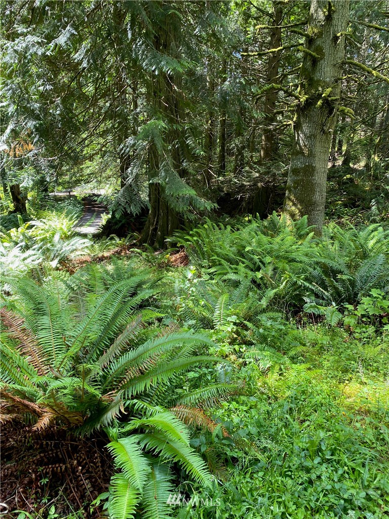 137 Raven Ridge Road Friday Harbor, WA 98250 - Photo 15 of 17 Gallery Image 15