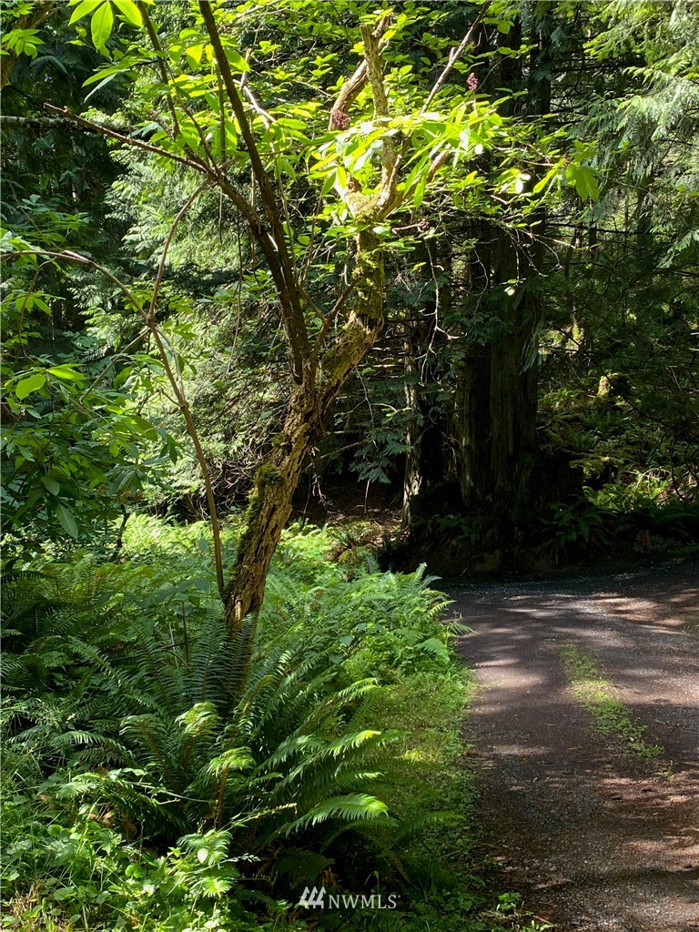 137 Raven Ridge Road Friday Harbor, WA 98250 - Photo 17 of 17 Gallery Image 17