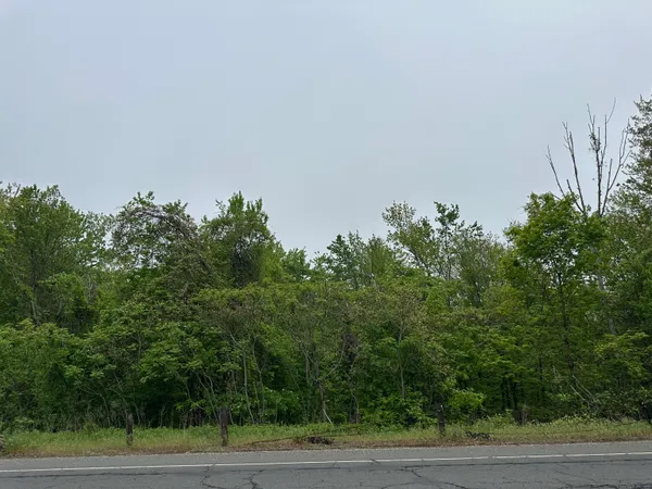a view of a yard
