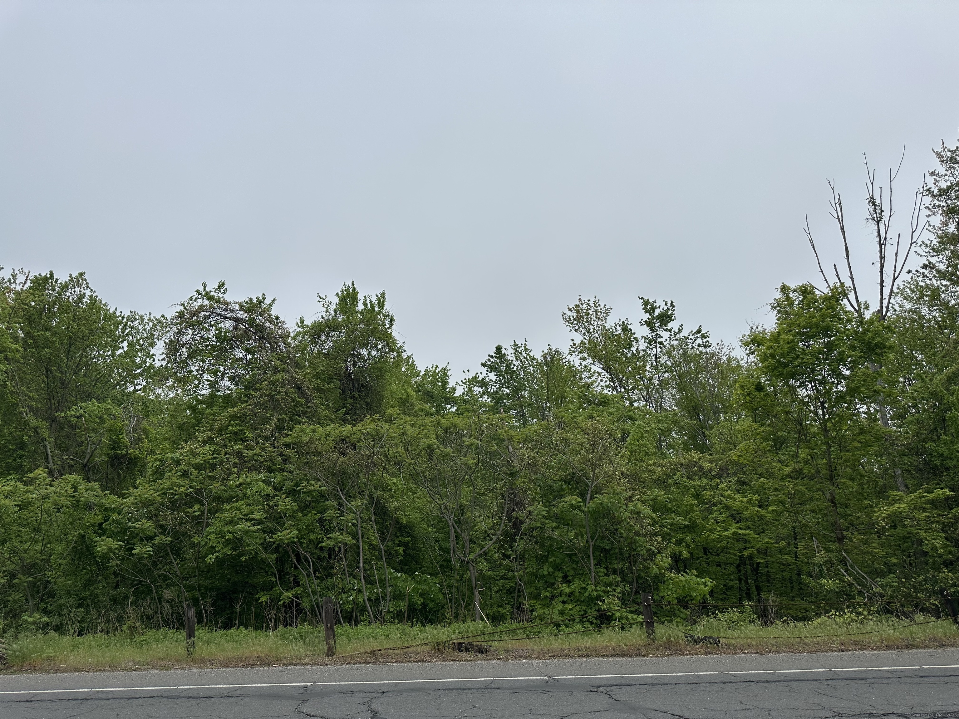 66 Union City Road Prospect, CT 06712 - Photo 3 of 8 a view of a yard