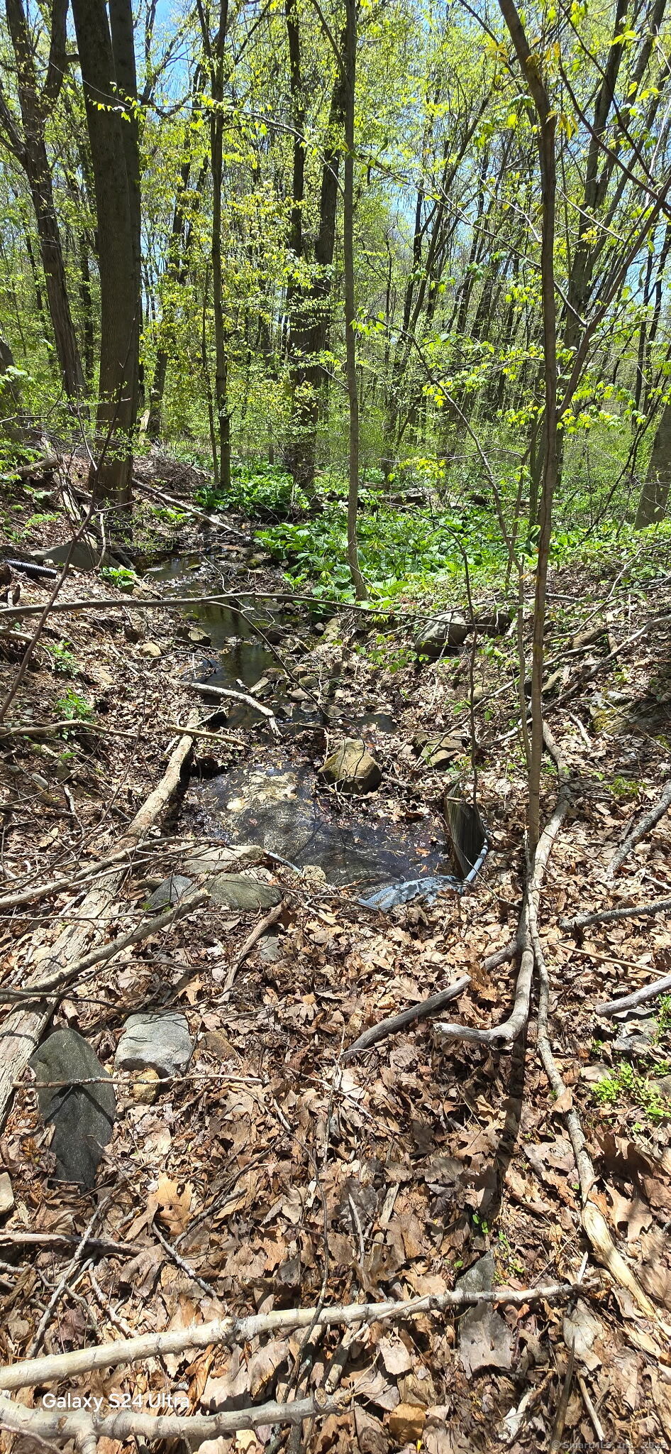 66 Union City Road Prospect, CT 06712 - Photo 6 of 8 a view of a green field with lots of bushes