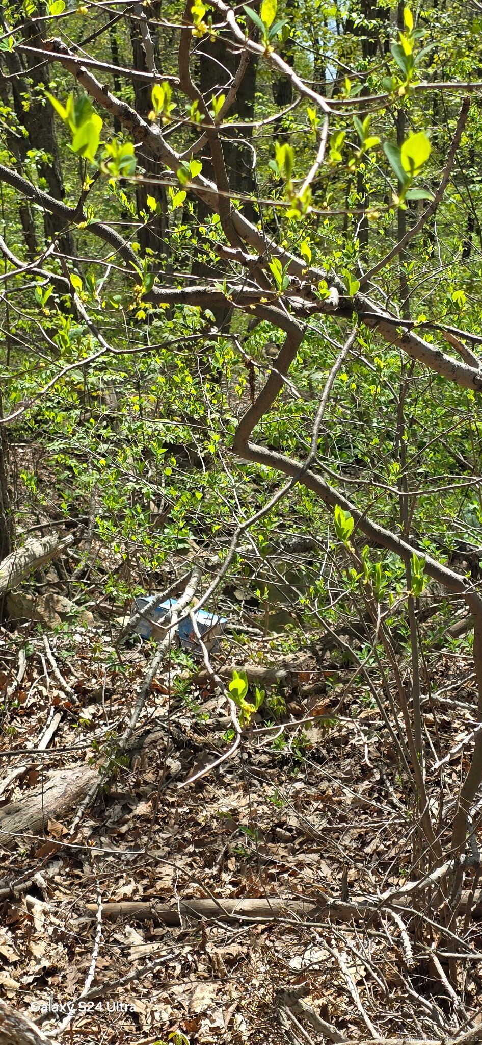 66 Union City Road Prospect, CT 06712 - Photo 7 of 8 a view of a field