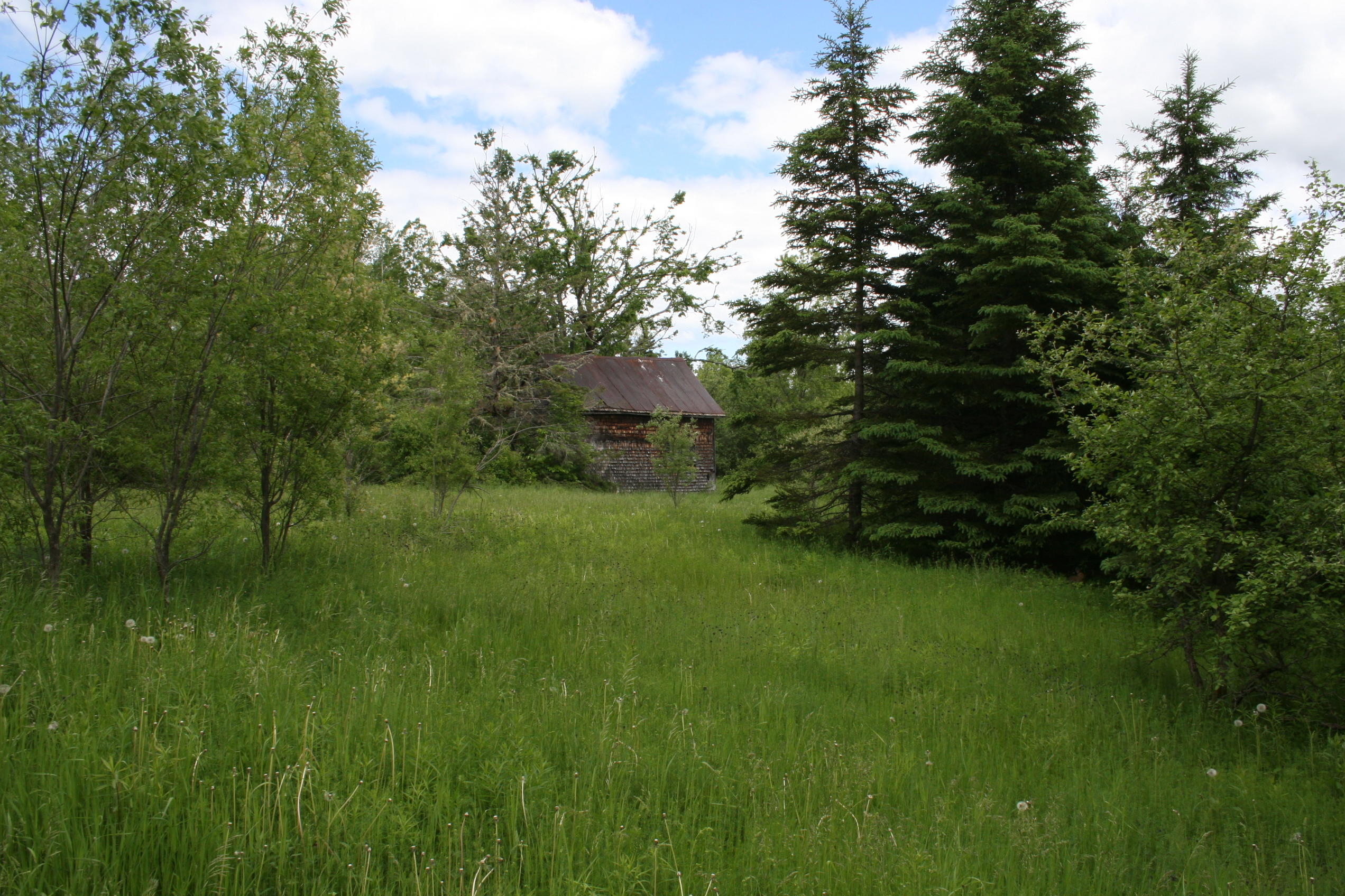 0 Roix Road New Limerick, ME 04761 - Photo 7 of 22 IMG_3598