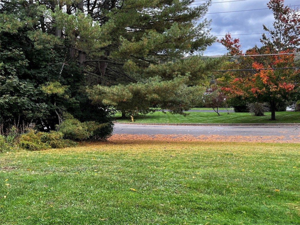 2 Frederick Drive Apalachin, NY 13732 - Photo 4 of 25