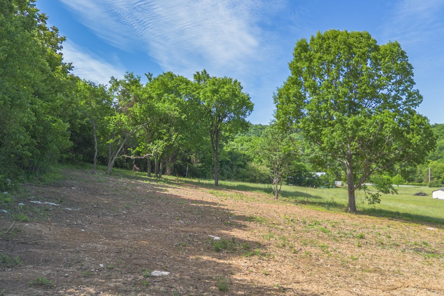 402 Cortner Hollow Road Petersburg, TN 37144 - Photo 51 of 54