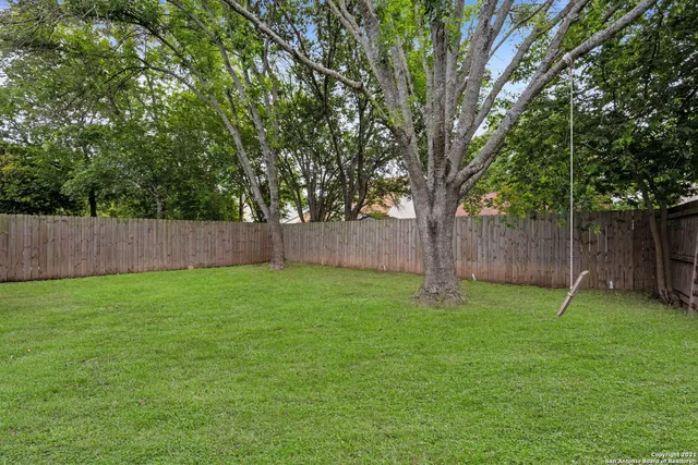 a view of a backyard with a trees