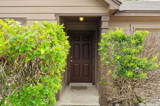 a couple of potted plants in front of door