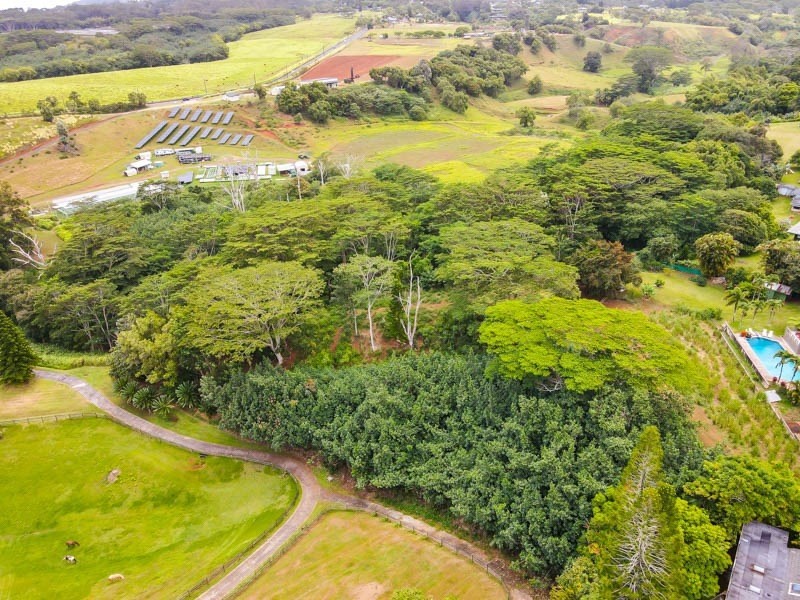 37 Omao Road Koloa, HI 96756 - Photo 7 of 29