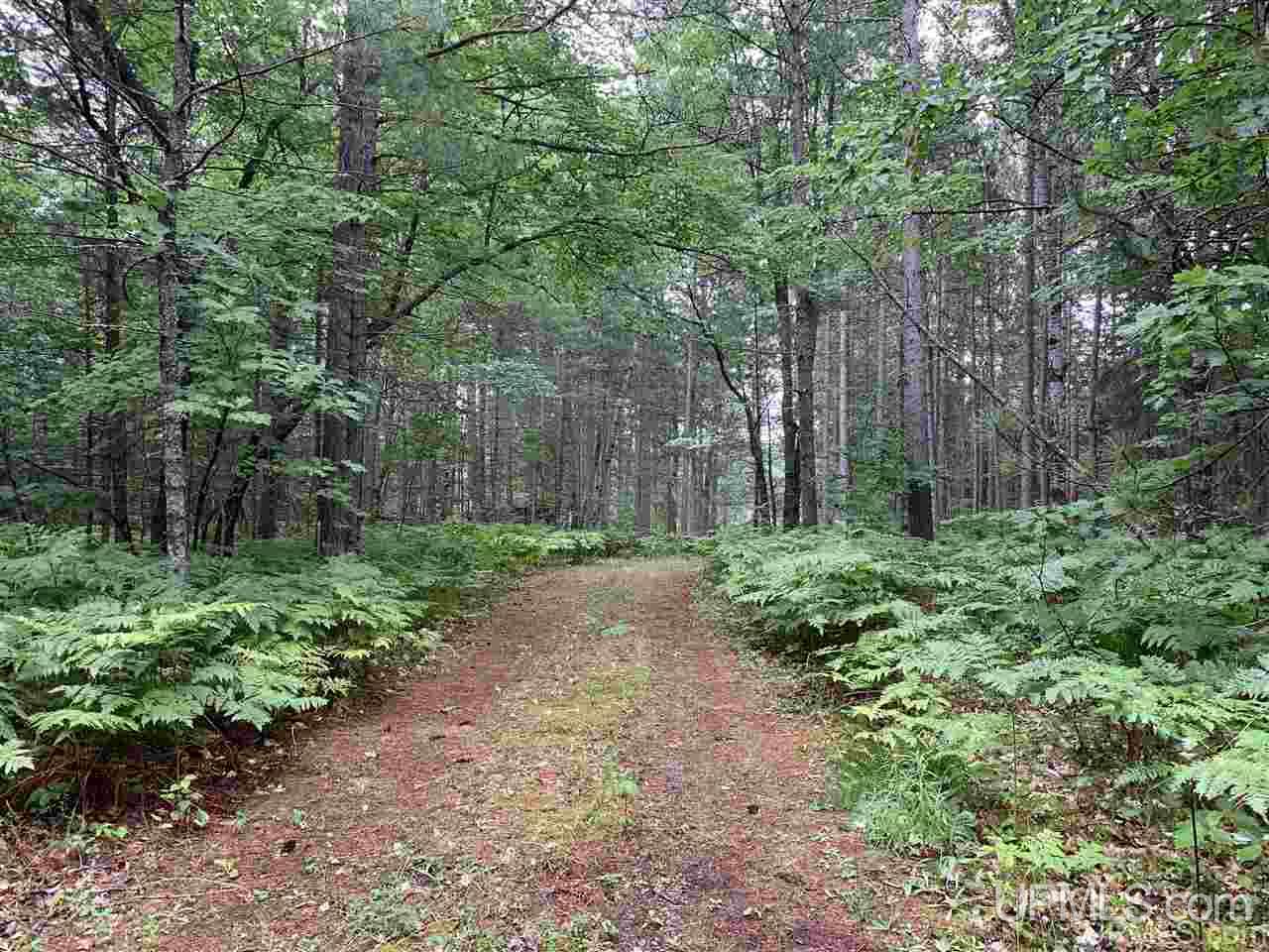 N3318 Twin Lakes Road Wetmore, MI 49895 - Photo 9 of 19
