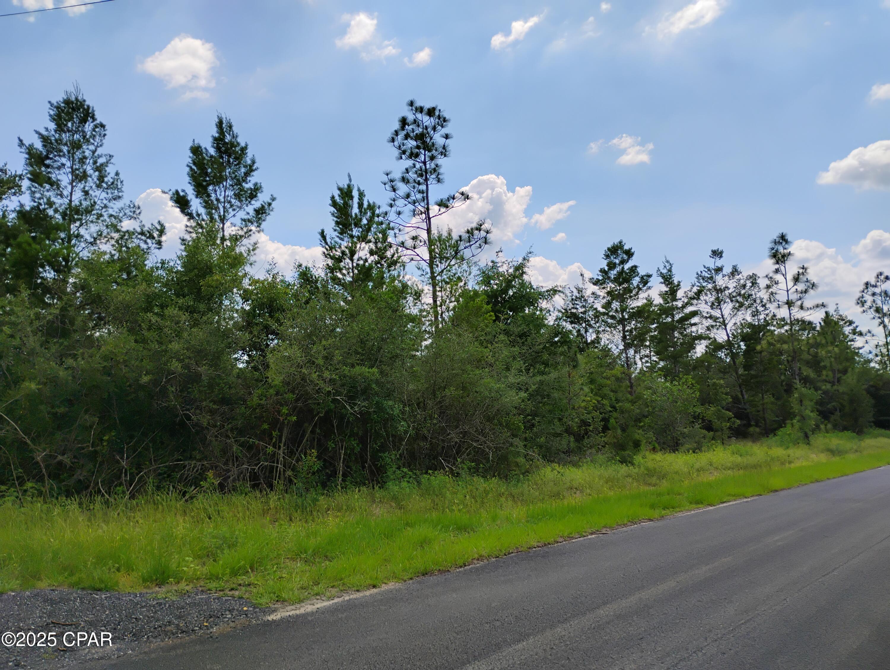 0 West Linger Longer Road Youngstown, FL 32466 - Photo 2 of 6 Gallery Image 2
