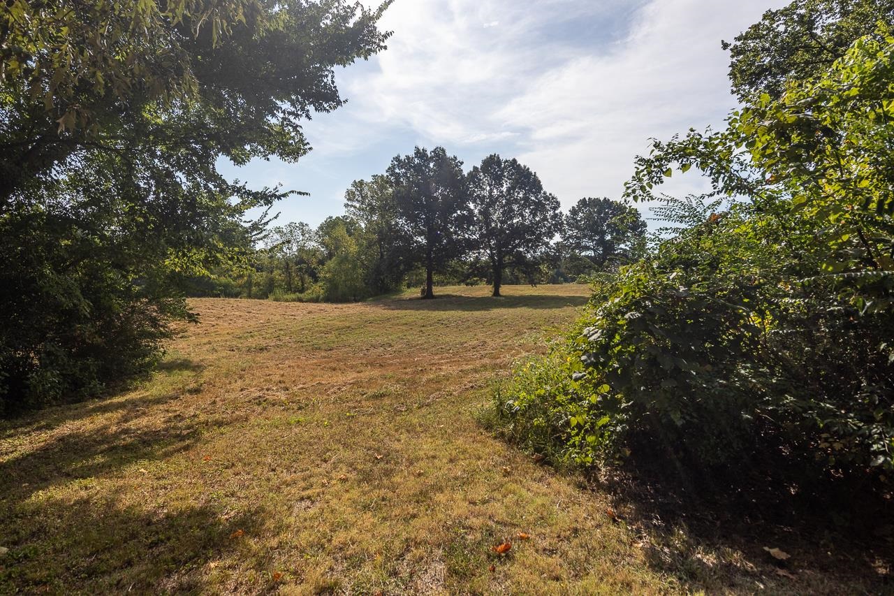 3864 Hobson Road Memphis, TN 38128 - Photo 17 of 19 View of yard