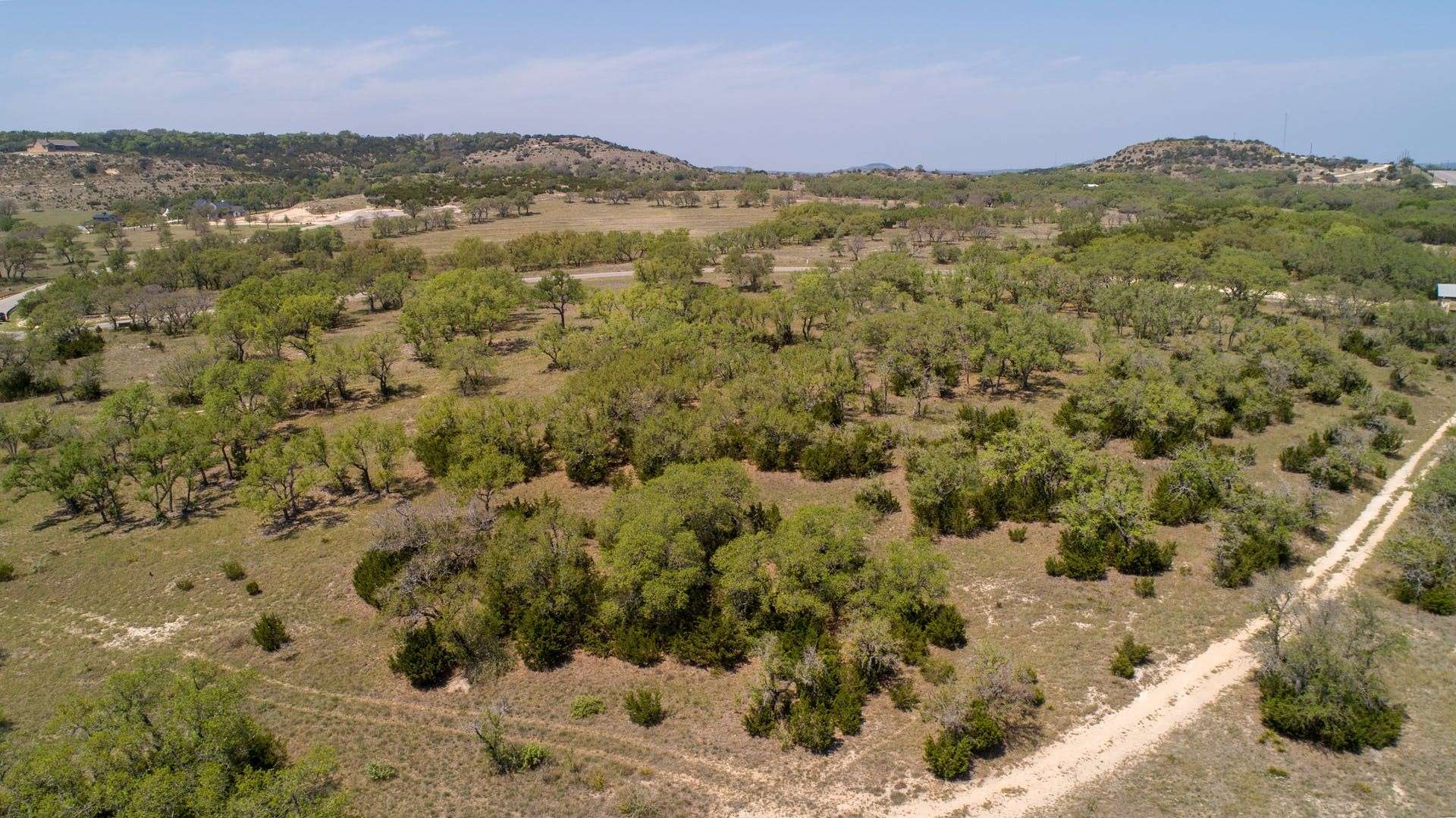 101 Bluff Ridge Trail Blanco, TX 78606 - Photo 14 of 40