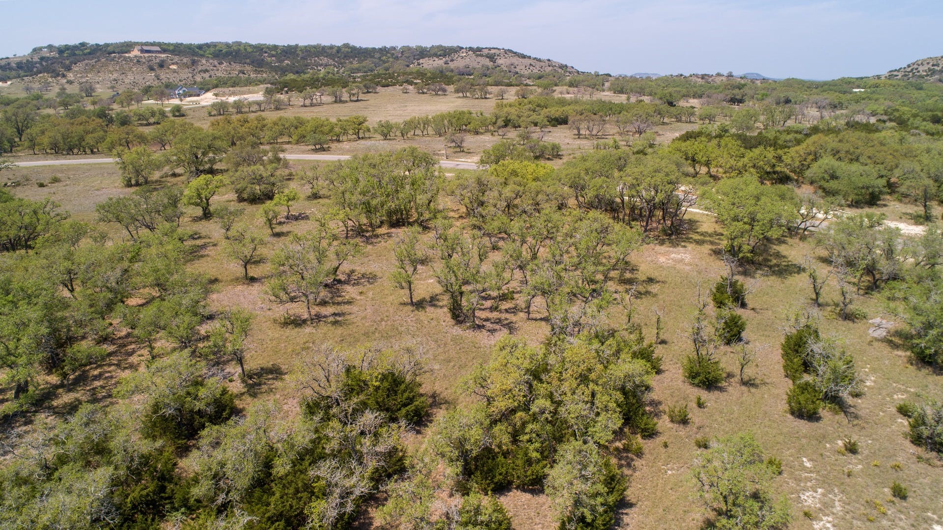 101 Bluff Ridge Trail Blanco, TX 78606 - Photo 16 of 40
