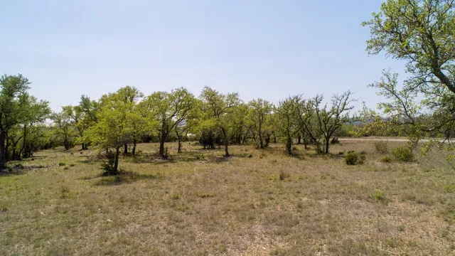 a view of a field with trees in the background