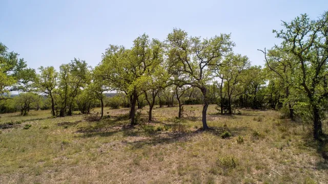 a view of dirt field with trees