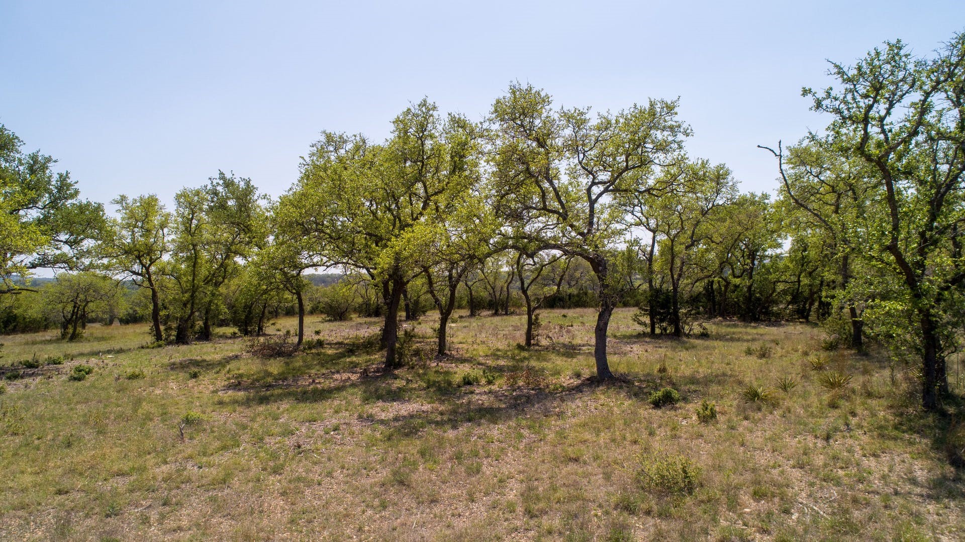 101 Bluff Ridge Trail Blanco, TX 78606 - Photo 19 of 40