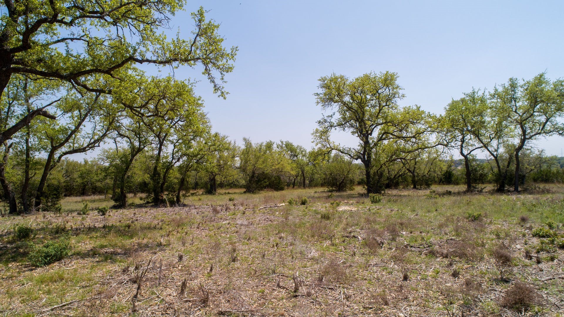 101 Bluff Ridge Trail Blanco, TX 78606 - Photo 21 of 40
