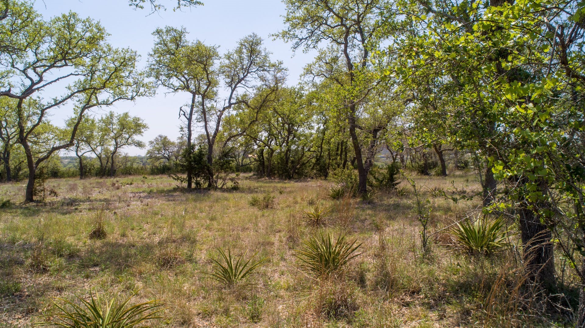 101 Bluff Ridge Trail Blanco, TX 78606 - Photo 24 of 40