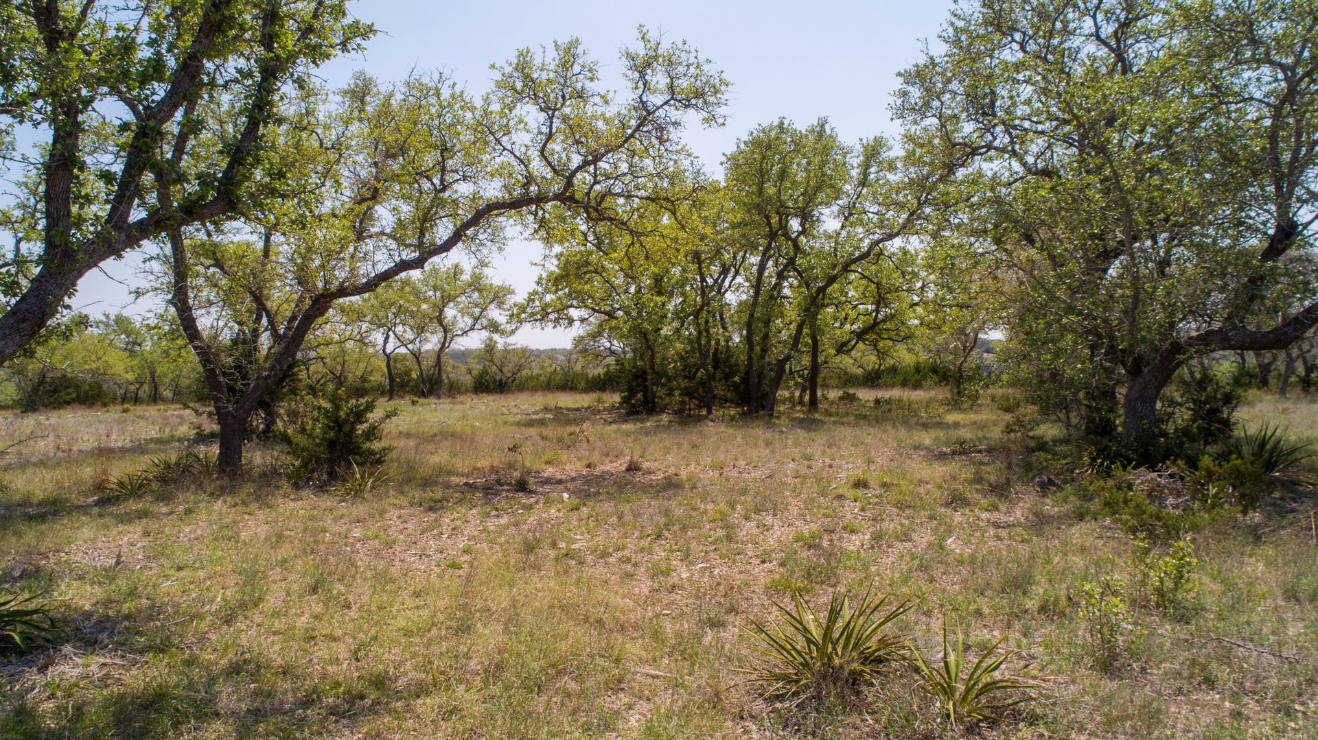 101 Bluff Ridge Trail Blanco, TX 78606 - Photo 25 of 40
