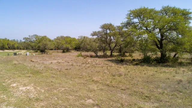 a view of a field with trees in background