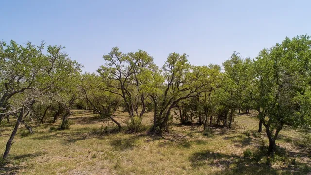 a view of mountain view with lots of trees
