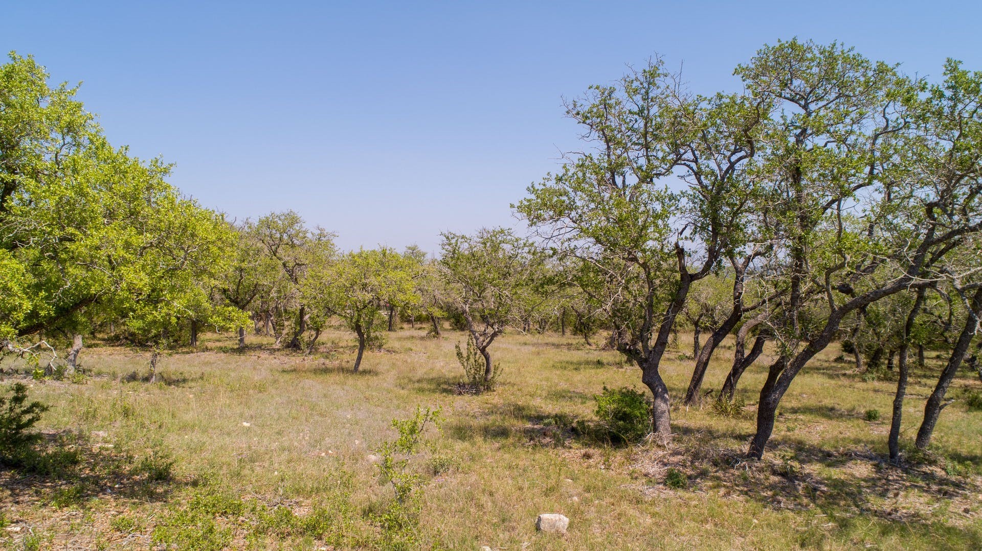 101 Bluff Ridge Trail Blanco, TX 78606 - Photo 33 of 40