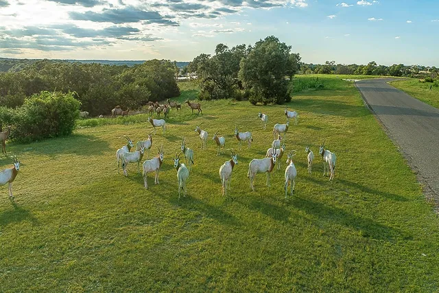 a view of lake and mountain