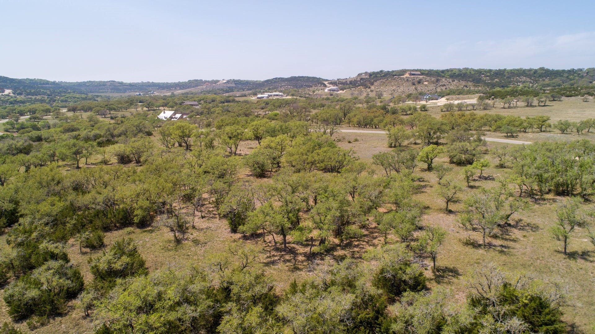101 Bluff Ridge Trail Blanco, TX 78606 - Photo 6 of 40