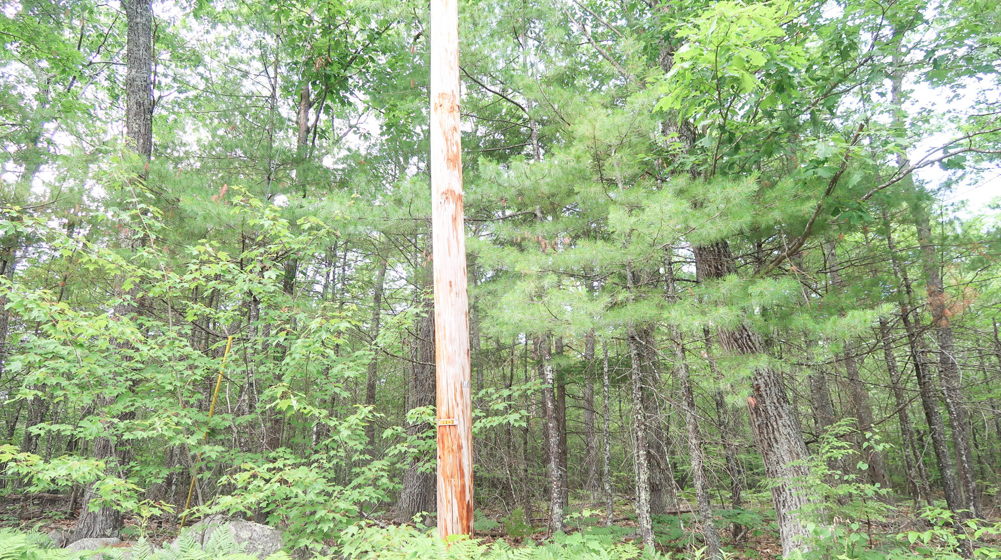 Tbd Bolton Hill Road Augusta, ME 04330 - Photo 5 of 9 IMG_1332