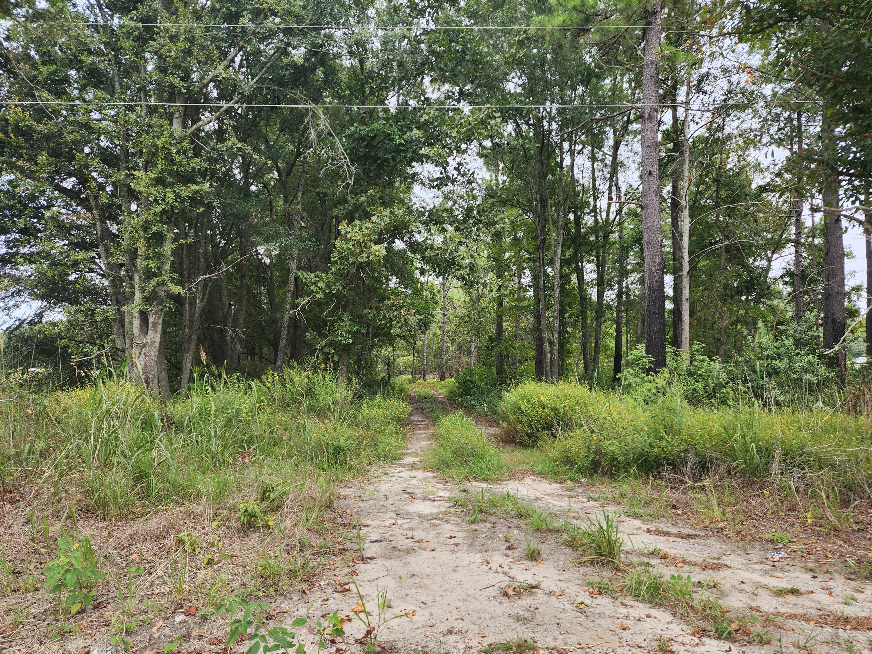 0 Spring Dell Way St. Stephen, SC 29479 - Photo 1 of 2 20240912_120401