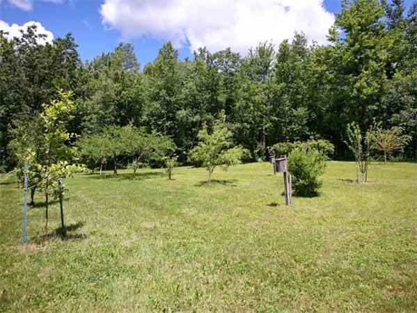 42 Glenwood Road Rutland, MA 01543 - Photo 17 of 23