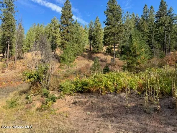 $179,000 | 2 Dole Camp Road, Desmet, ID 83824